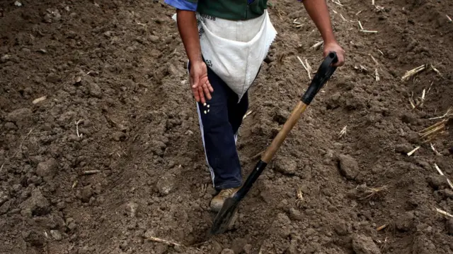 Un agricultor en Perú