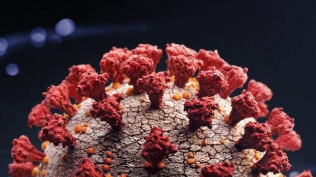coronavírus visto por um microscópio