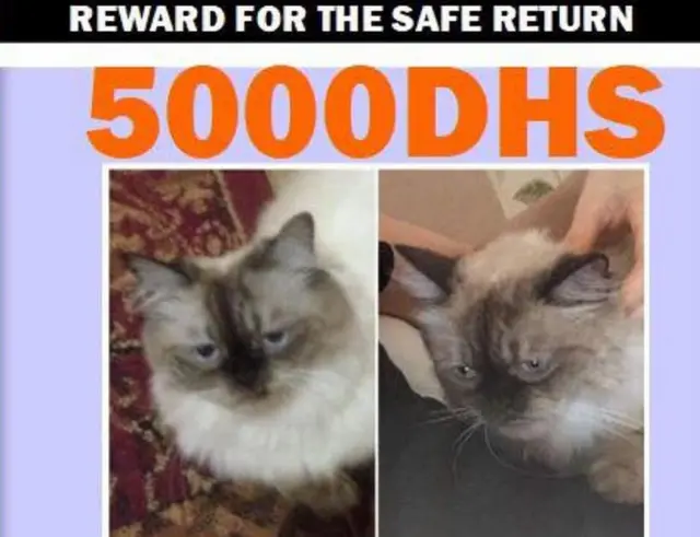 Плакат с обещанием вознаграждения