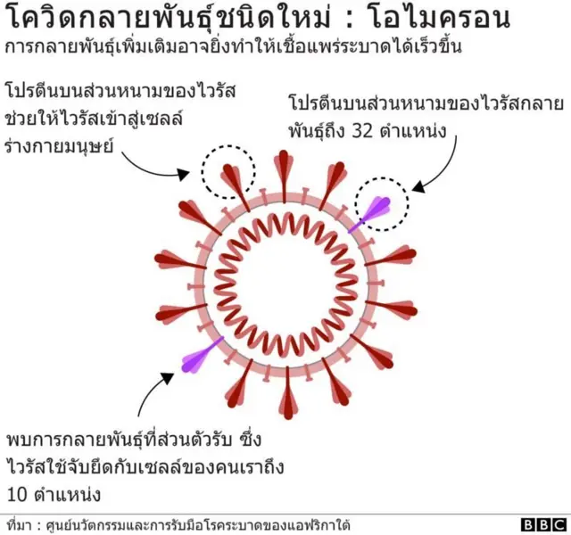 กราฟิกอธิบายโอไมครอน