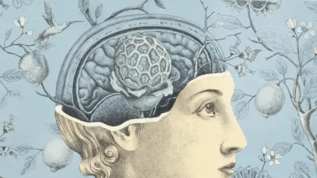 كيف يؤثر تلوث الهواء على سلوكياتنا؟