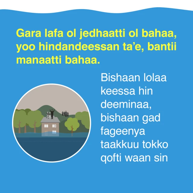 Gara lafa ol jedhaatti ol bahaa, yoo hindandeessan ta'e, bantii manaatti bahaa.