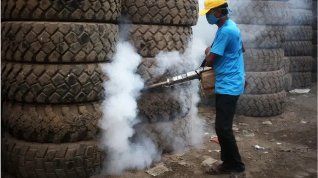 মশা নিধন