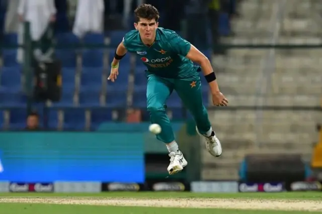 شاہین آفریدی