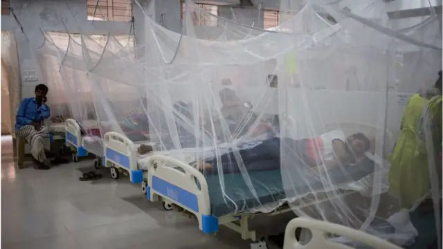 সারা বাংলাদেশে এডিস মশার দুটি প্রজাতিই ছড়িয়ে পড়েছে।