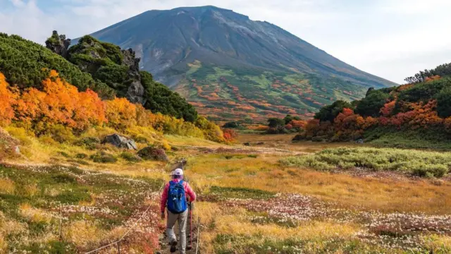 هوکایدو یکی از نخستین مناطق ژاپن بود که اعلام وضعیت اضطراری کرد و حالا تصمیم گرفته است که مجددا محدودیتها را اعمال کند