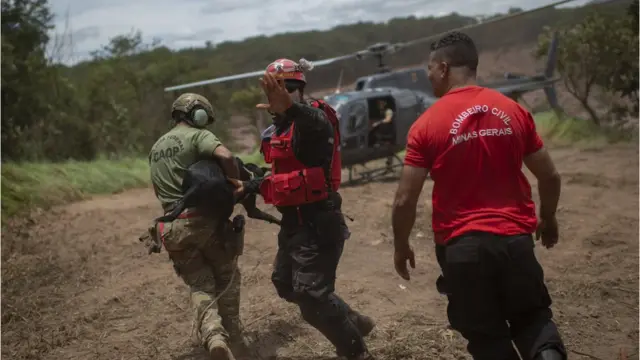 Bombeiros carregam cão até helicóptero
