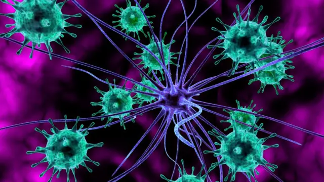 فيروس في الدماغ