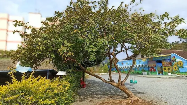Imagen de la fachada de la guardería Cantinho Bom Pastor.