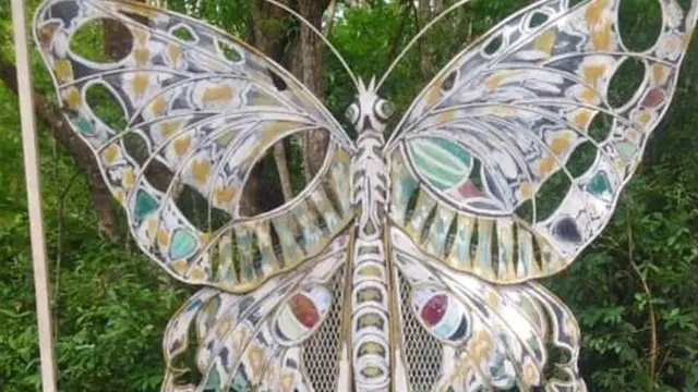 Makavasi ya Gede ndilo soko kubwa la wafanya biashara hao wa vipepeo