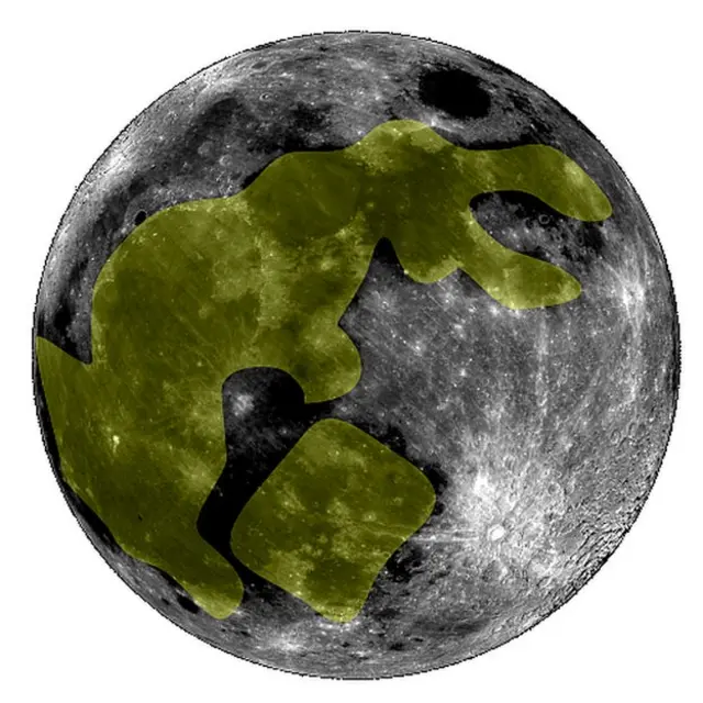 Uno de los conejos resaltados.