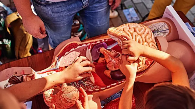 Наукові пікніки