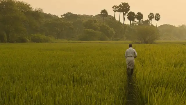 விவசாயம்