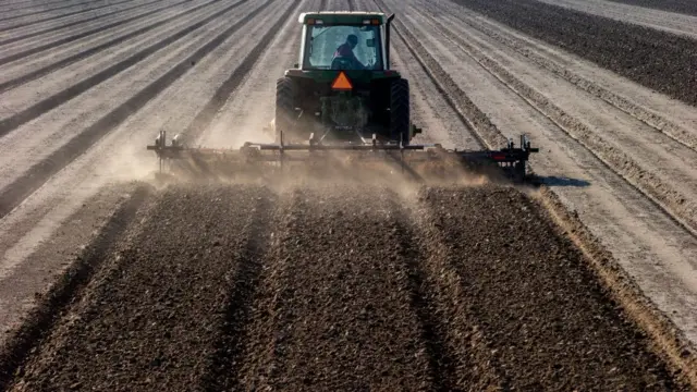 Трактор в Калифорнии