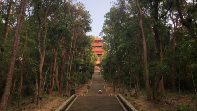 Parque Nacionalbetano 100 rodadas grátisDongHu vazio