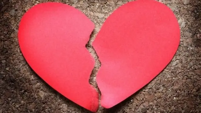 હૃદયની પ્રતીકાત્મક તસવીર