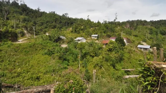 natal, MIT, sigi, ali kalora