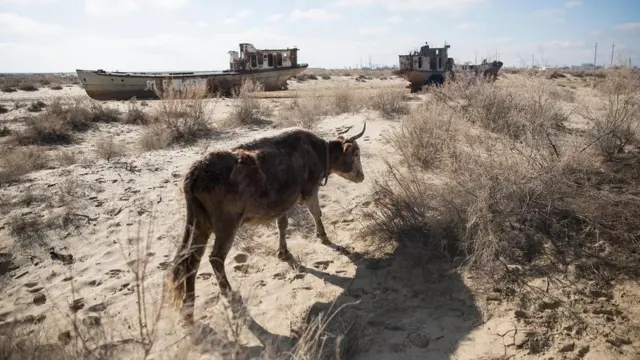 咸海干涸的海床析出的粉尘、盐和化学物质，正在影响当地人的健康