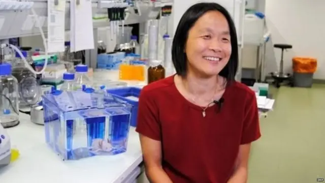 ڈاکٹر ایلی تناکا