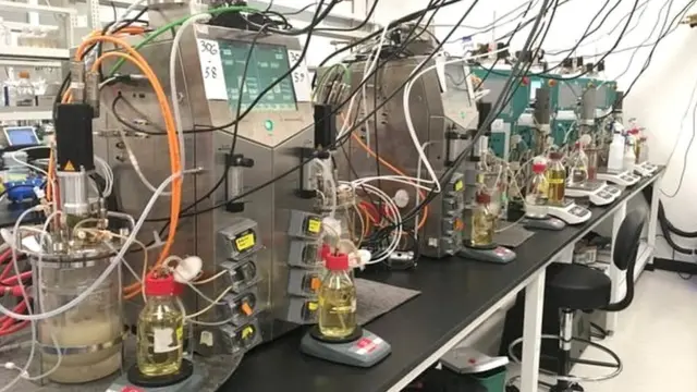 मांसाचा वास, चव आणि पोत यांचे विश्लेषण करण्यासाठी या टीमने खास तंत्रज्ञानाचा वापर केला आहे.