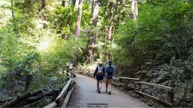 pessoas caminham na natureza