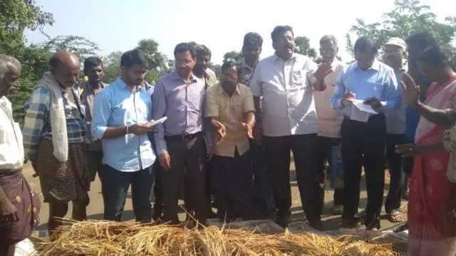 పంట నష్టం పరిశీలిస్తున్న అధికారులు