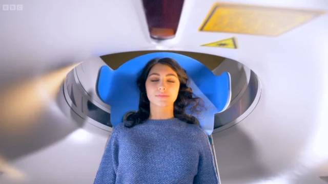 याददाश्त