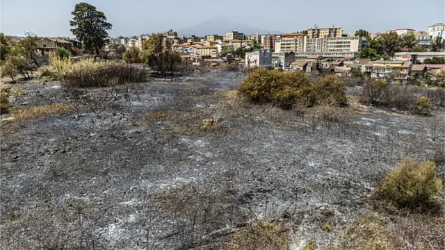 Пожежі на Сицилію принесла та сама хвиля спеки, що й до Греції та Туреччини