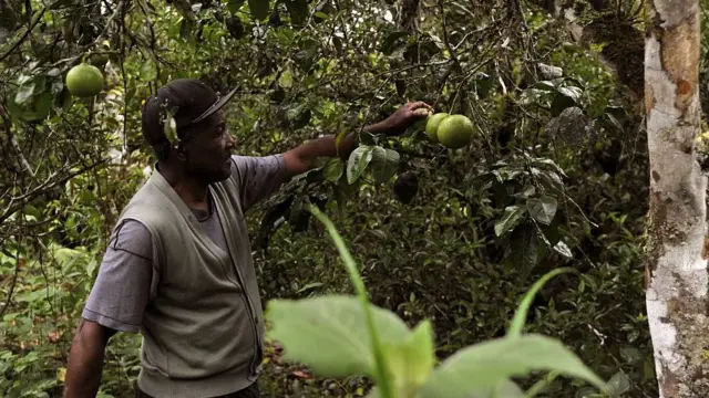 Julio Bonifaz Pinedo