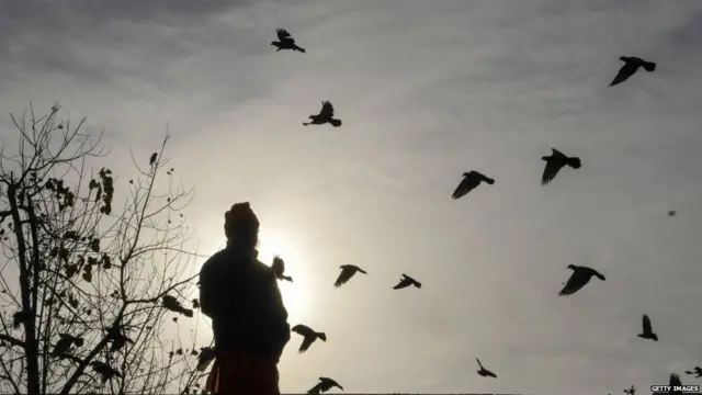 ਕੋਰੋਨਾਵਾਇਰਸ