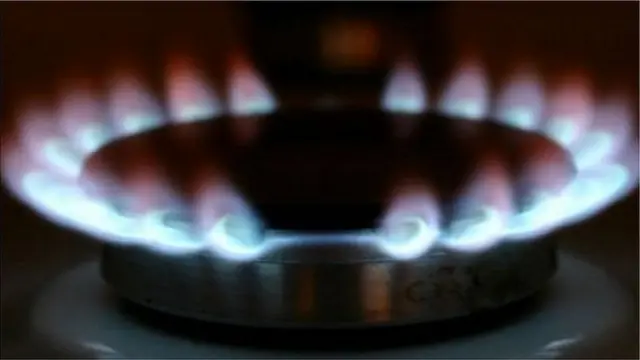 বাংলাদেশে বড় বড় বিদ্যুৎ কেন্দ্র, সার কারখানা থেকে শুরু করে ছোট-বড় শিল্প এমনকি গৃহস্থালী পর্যন্ত গ্যাসের ওপর নির্ভরশীল