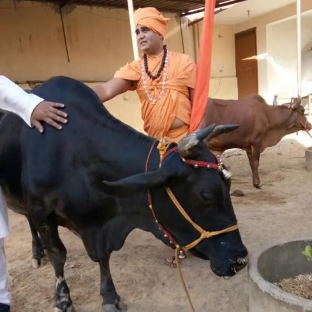 शंकराचार्य अधोक्षजानंद महाराज