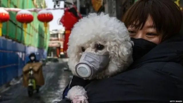 कोरोना व्हायरस