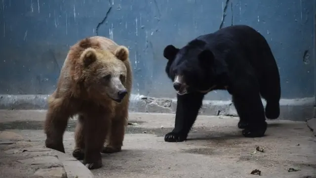 کراچی چڑیا گھر