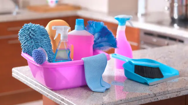 स्वच्छतेची उत्पादने 