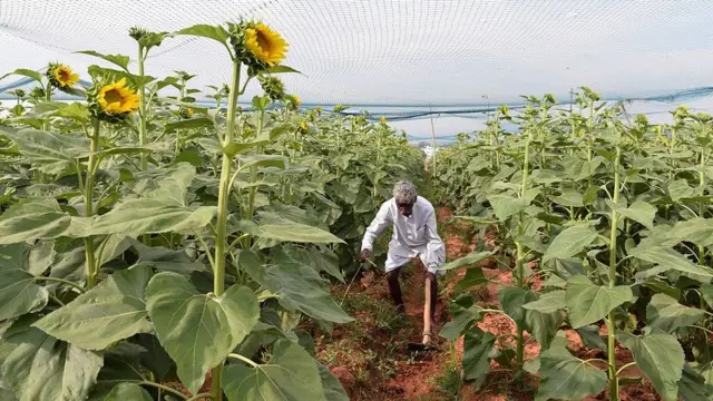 2018 பட்ஜெட் சொல்வது என்ன?