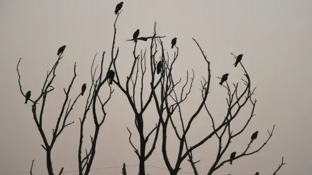 दिल्ली प्रदूषण