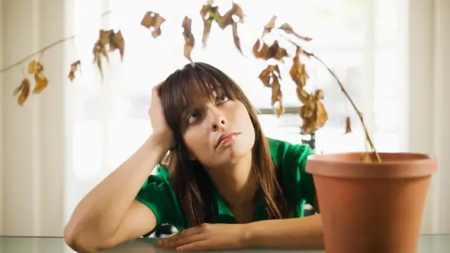 Una mujer que mira, triste, una plantita que murió