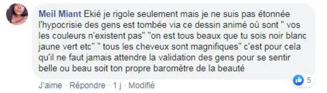 Un commentaire sur Facebook
