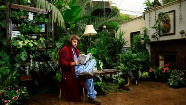 যুক্তরাজ্যে ঘরে গাছ লাগানোর বিষয়টি ক্রমেই জনপ্রিয় হয়ে উঠছে