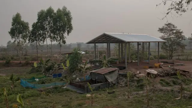 ที่ดินปลูกผัก