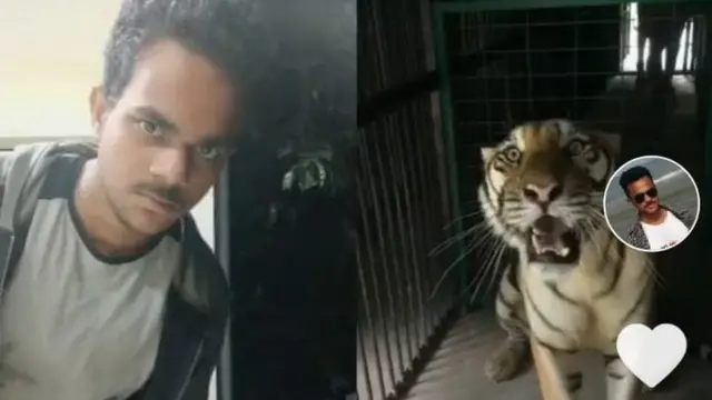 టిక్ టాక్