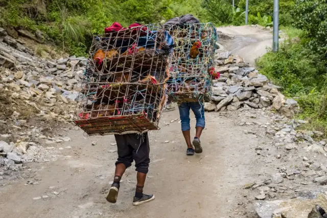 माथिल्लो मर्स्याङ्दी क्षेत्रमा कुखुरा बोकेर लग्दै भरियाहरू