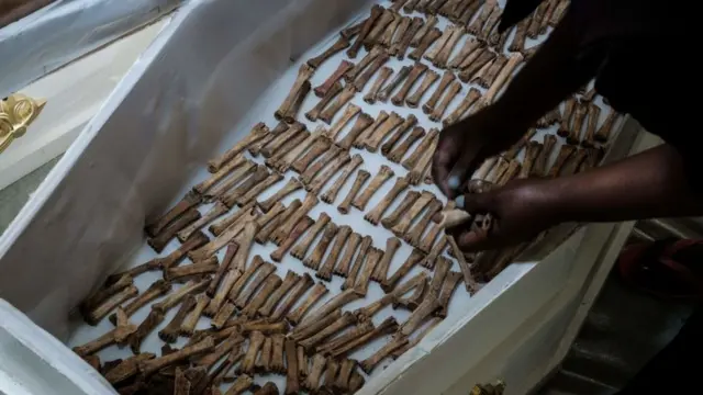 Huesos humanos en un ataúd.