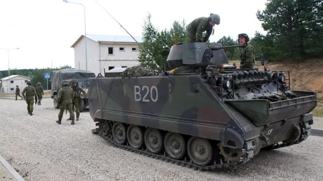 Литвские войска