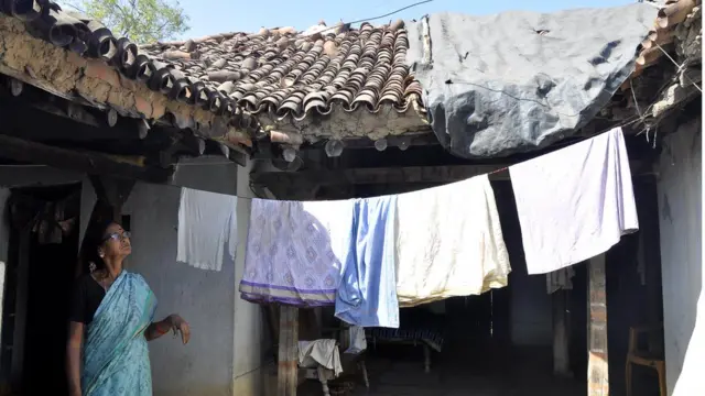 కోతుల సమస్య