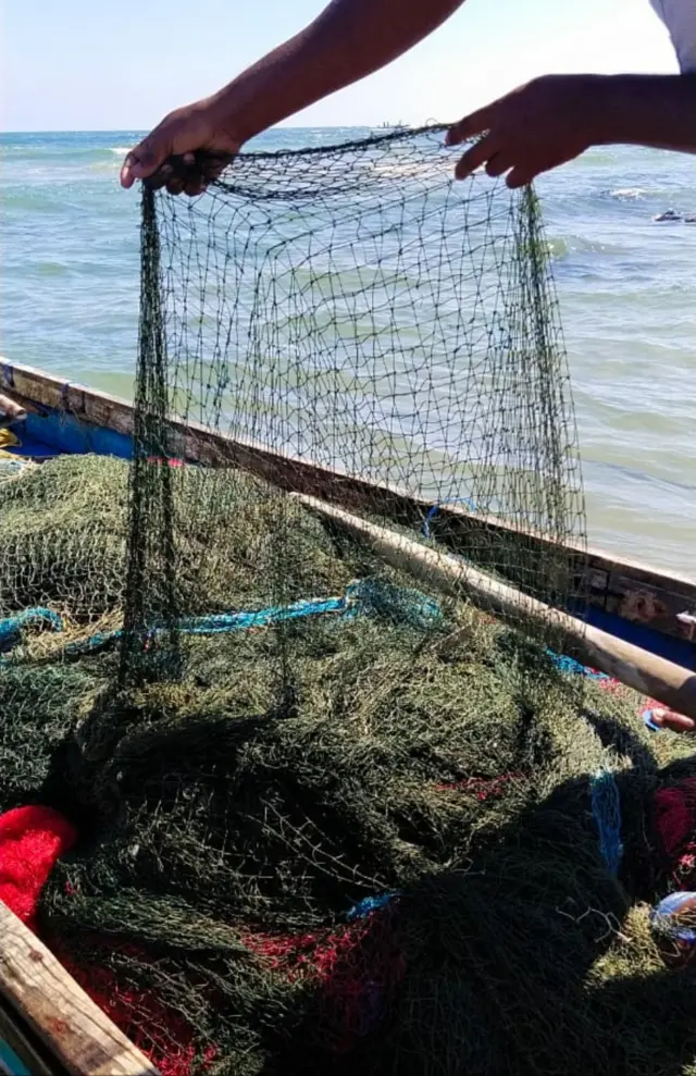 రింగు వలల వివాదం