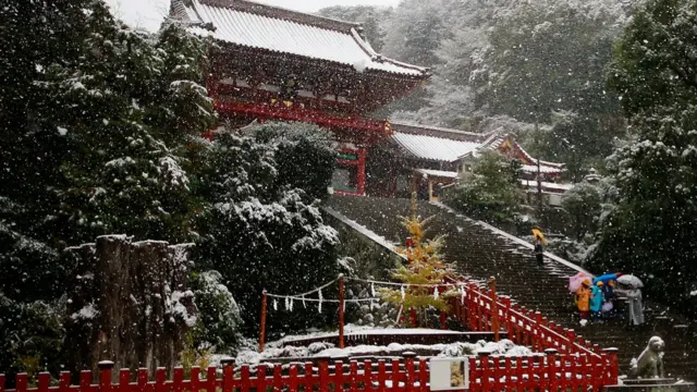 Tokyo, Jepang, salju