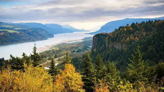 （图片来源：Zack Frank）