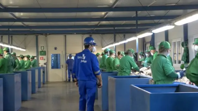 Люди в масках сортируют мусор